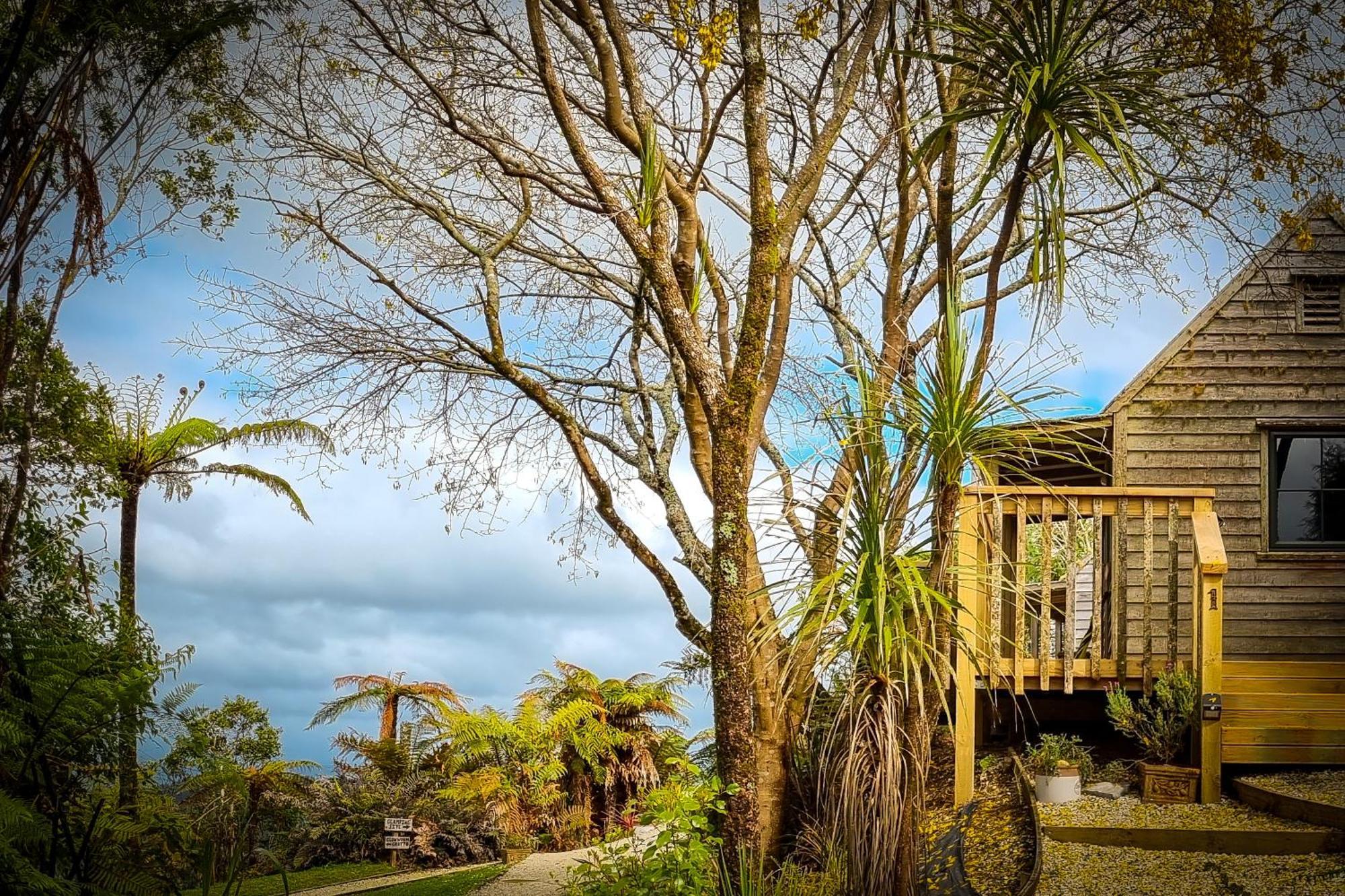 Te Tiro Accommodation Waitomo Caves Eksteriør billede