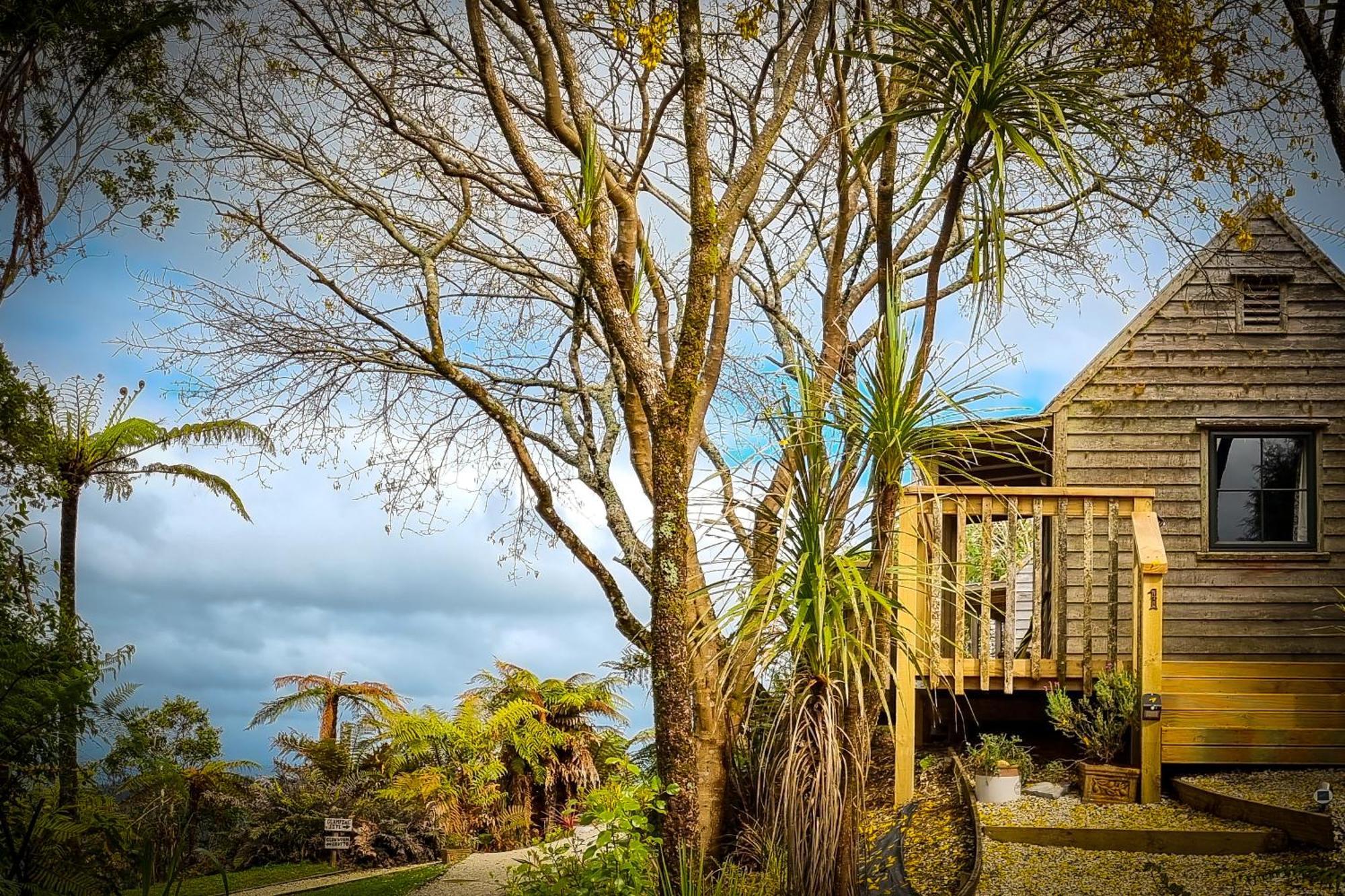 Te Tiro Accommodation Waitomo Caves Eksteriør billede