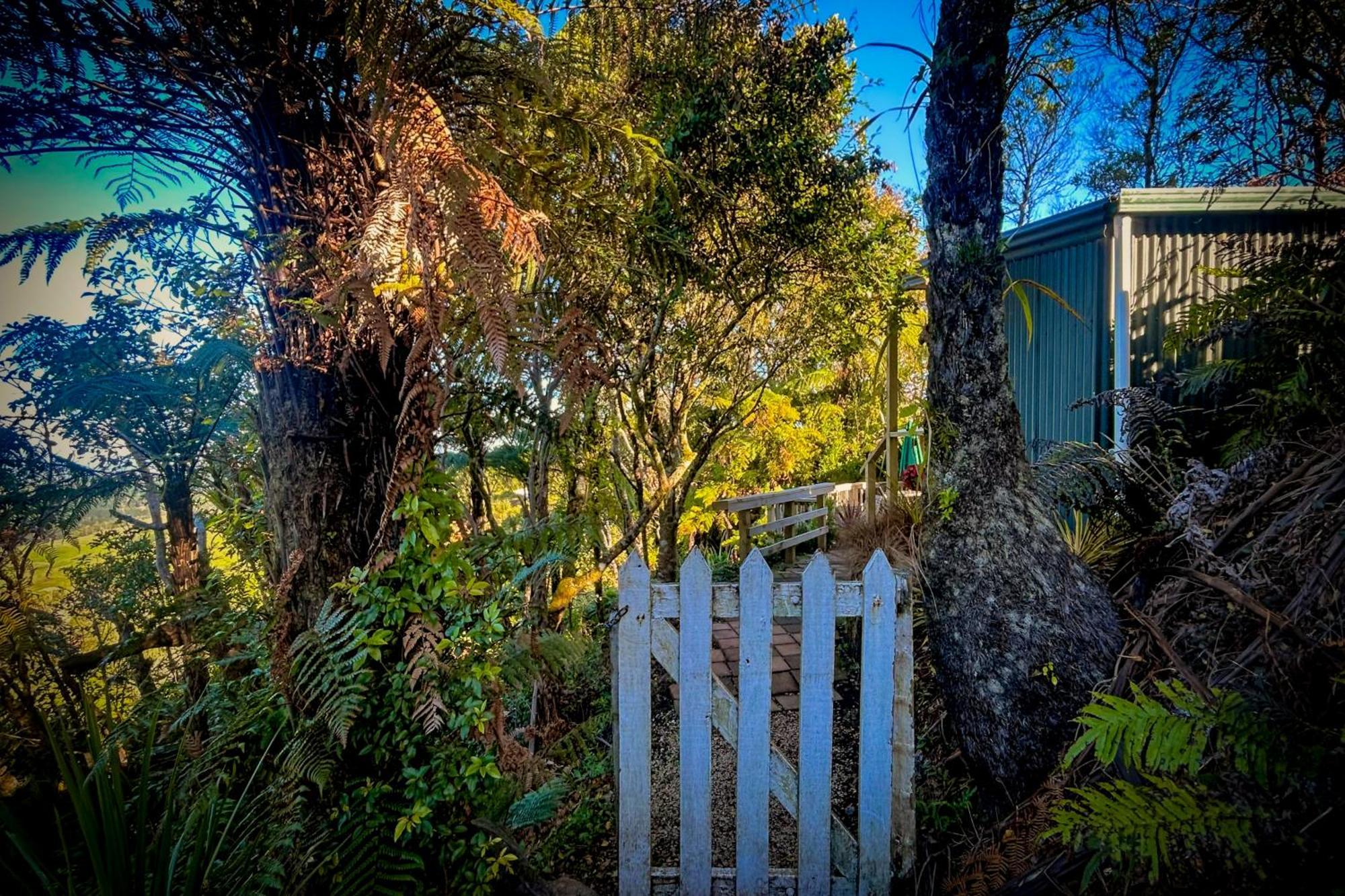 Te Tiro Accommodation Waitomo Caves Værelse billede