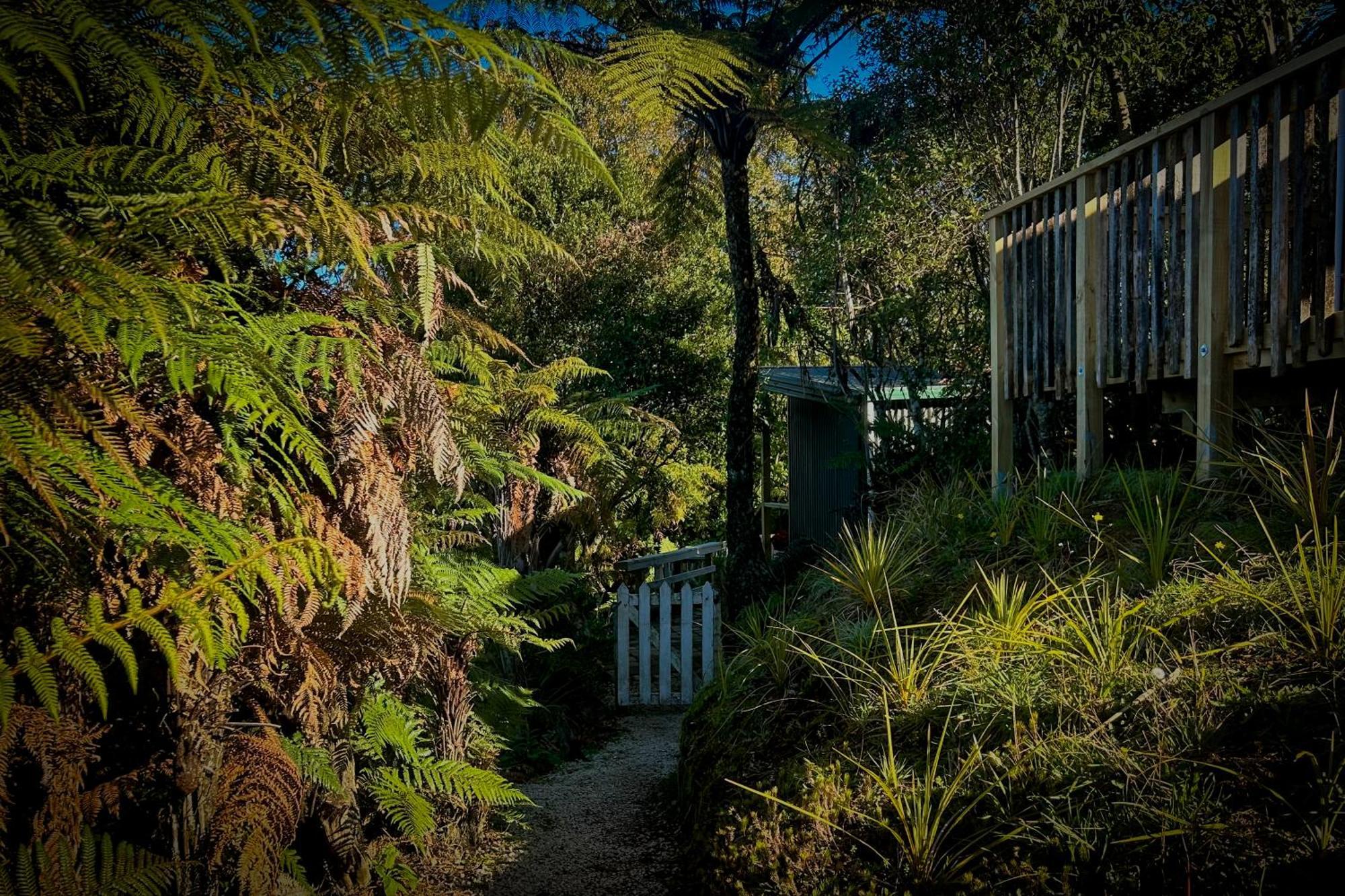 Te Tiro Accommodation Waitomo Caves Værelse billede